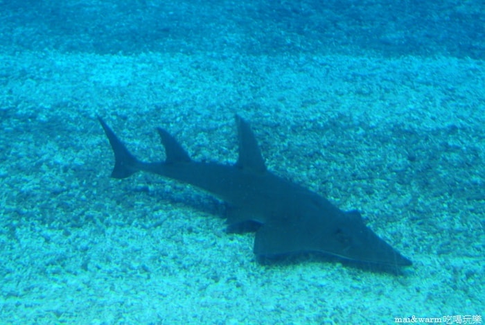 DSC_1668.jpg