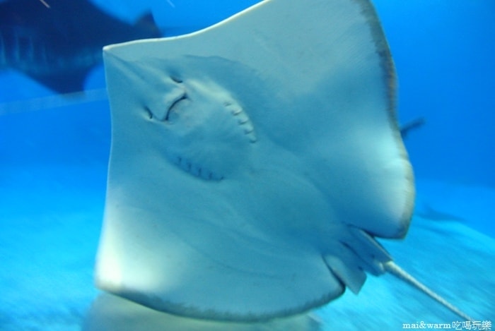 DSC_1690.jpg