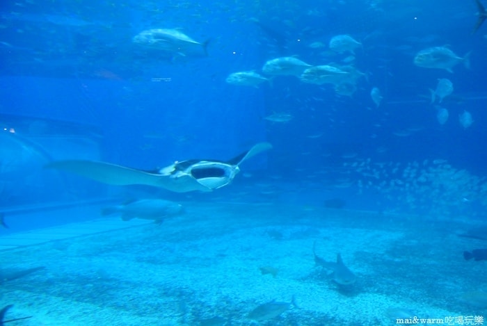 DSC_1670.jpg