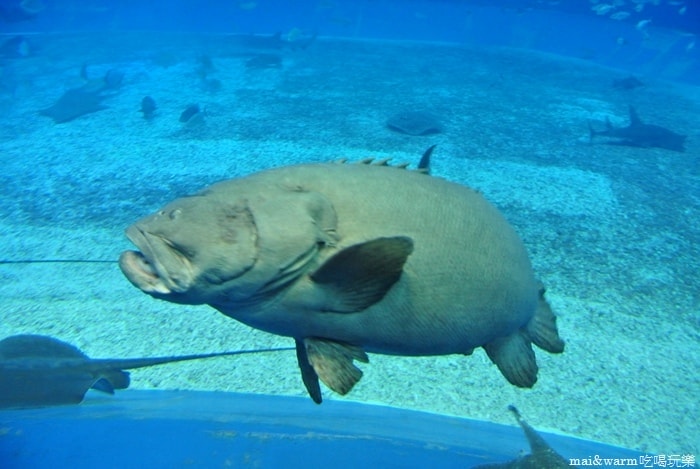 DSC_1688.jpg