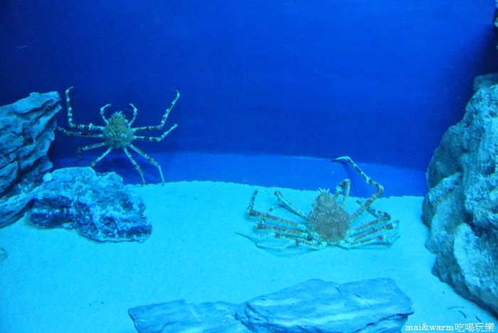 DSC_1704.jpg
