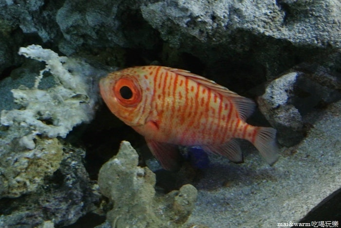 DSC_1706.jpg
