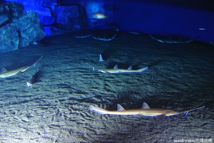 DSC_1710.jpg
