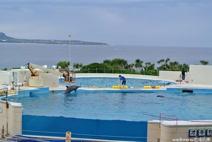 DSC_1732.jpg