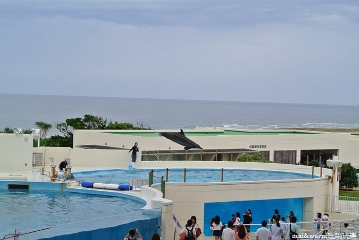 DSC_1744.jpg