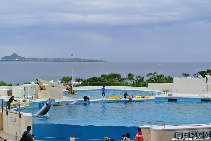DSC_1730.jpg
