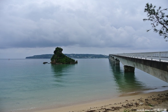 DSC_1826.jpg