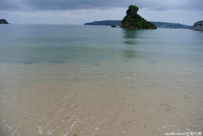 DSC_1828.jpg
