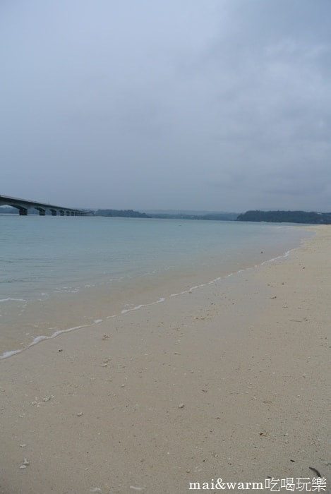 DSC_1849.jpg