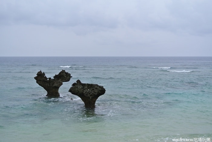 DSC_1861.jpg