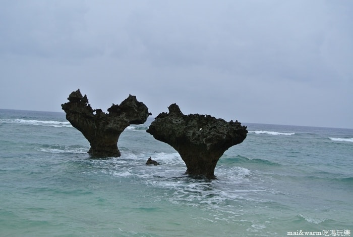 DSC_1871.jpg