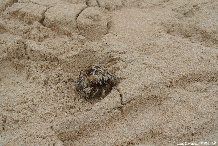 DSC_1875.jpg