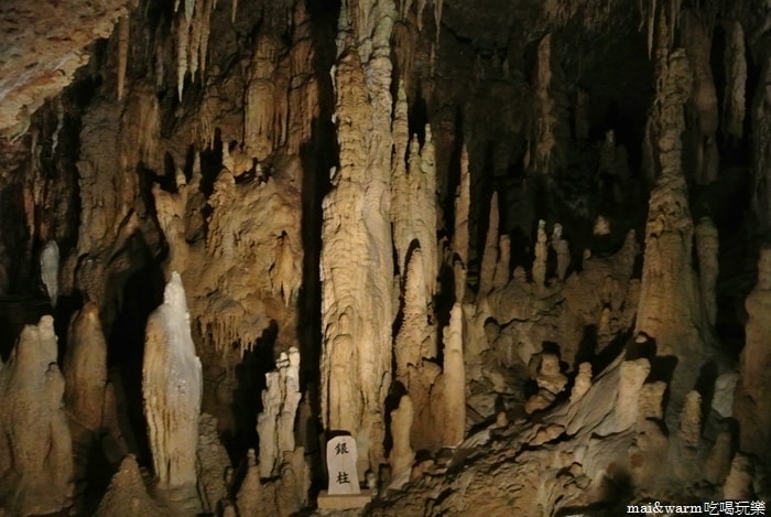 DSC_2380.jpg