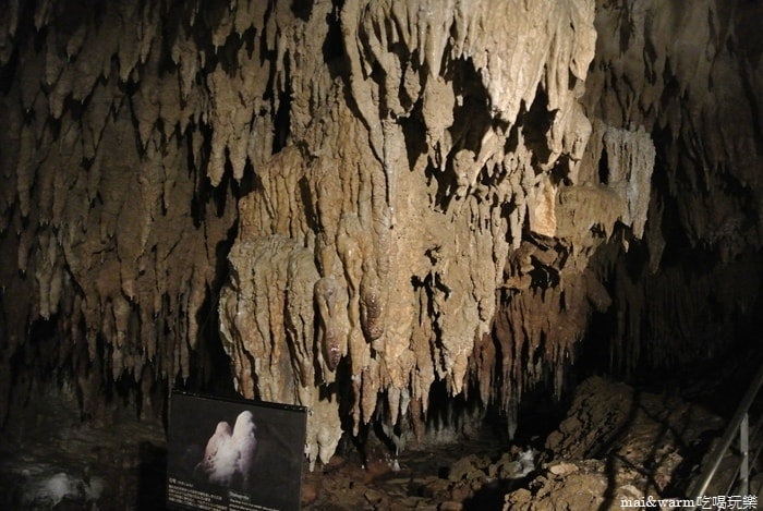 DSC_2393.jpg