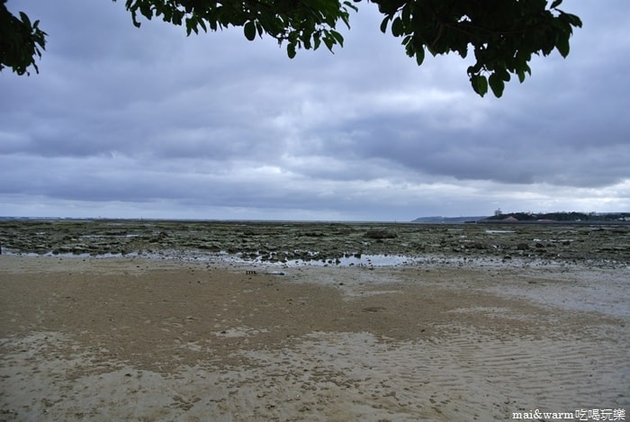 DSC_2423.jpg