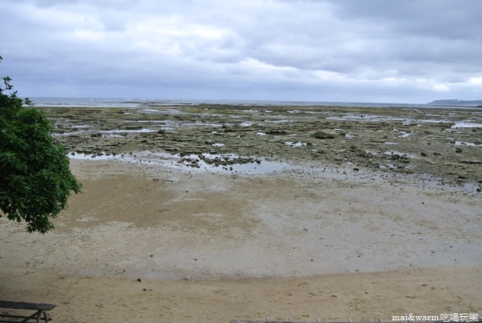 DSC_2446.jpg