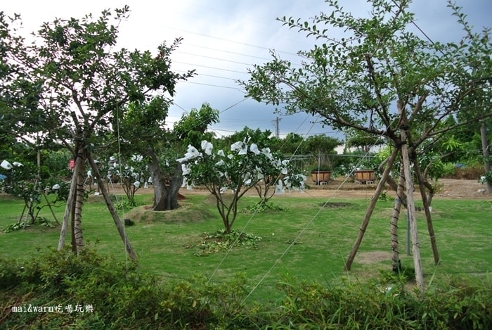 DSC_4249.jpg