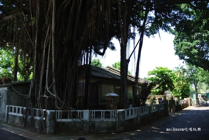 DSC_5421.jpg