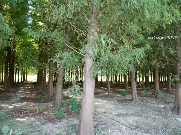 P1010023.jpg