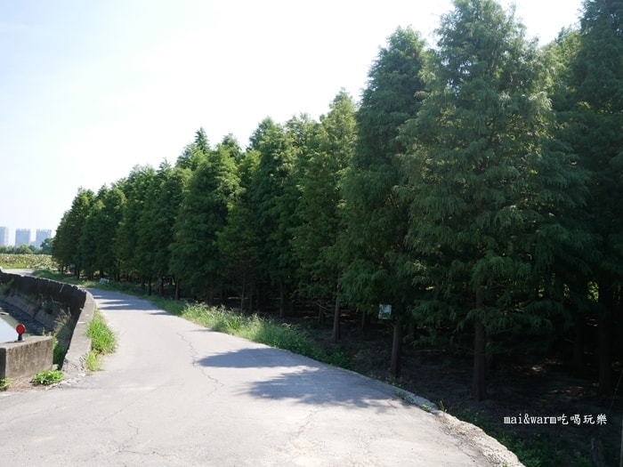 P1010020.jpg