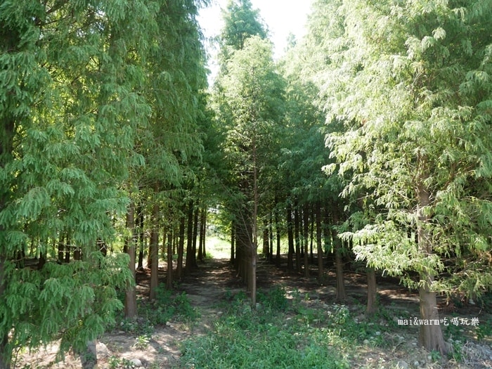 P1010025.jpg