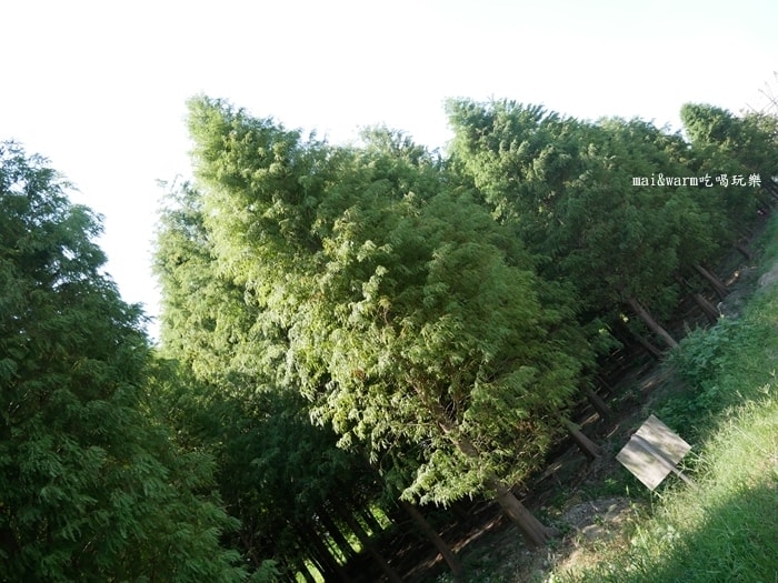P1010026.jpg
