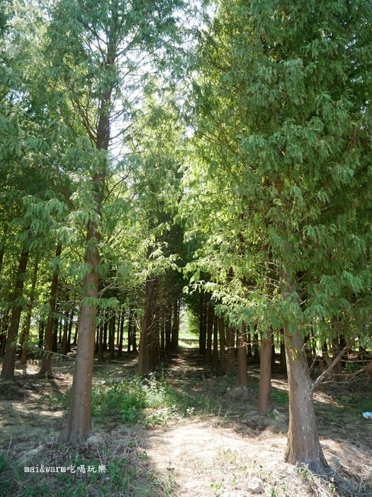 P1010027.jpg