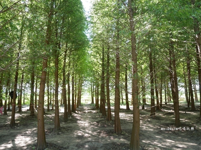 P1010036.jpg