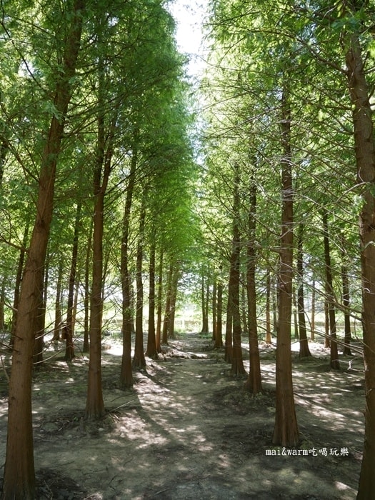 P1010053.jpg