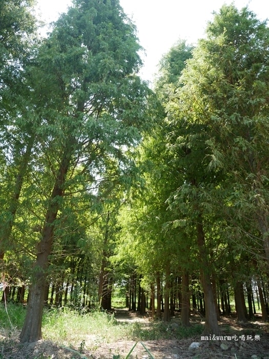 P1010077.jpg