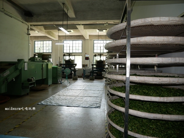 P1010241.jpg