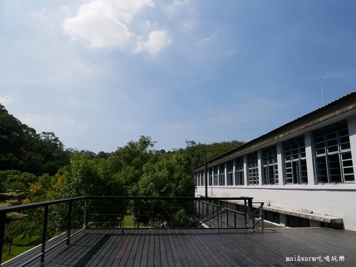 P1010272.jpg