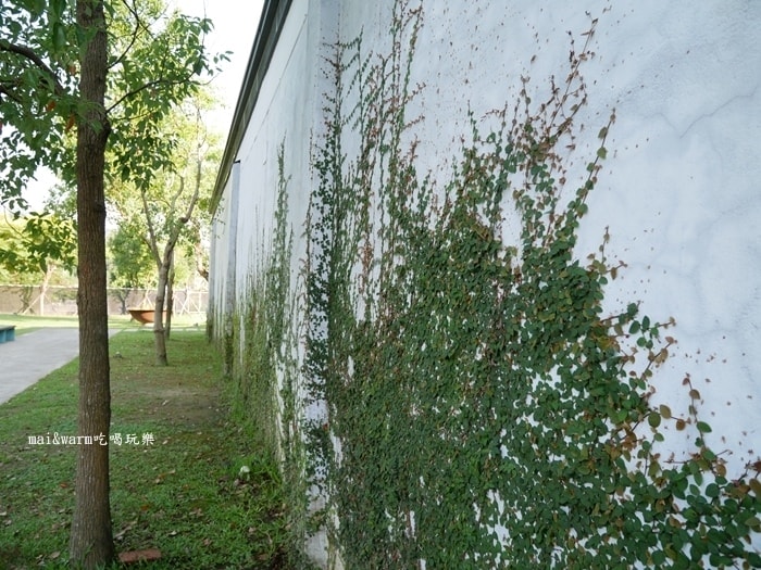 P1010497.jpg