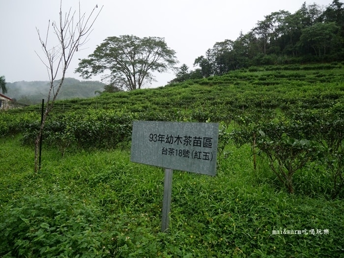 P1020748.jpg