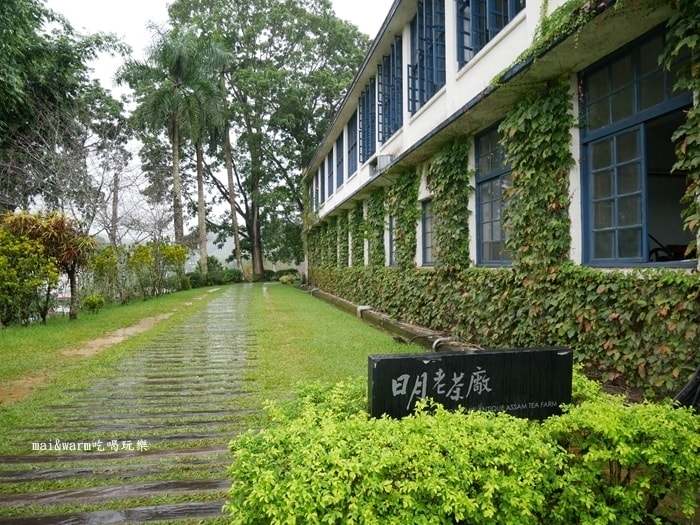 P1020755.jpg