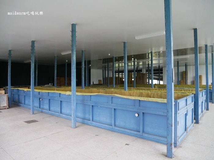 P1020817.jpg
