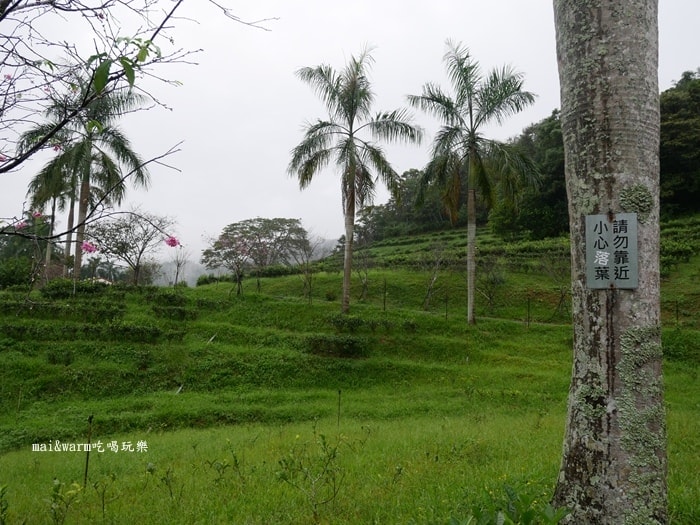 P1020854.jpg