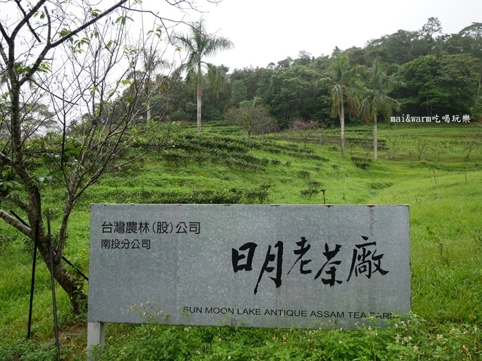 P1020856.jpg