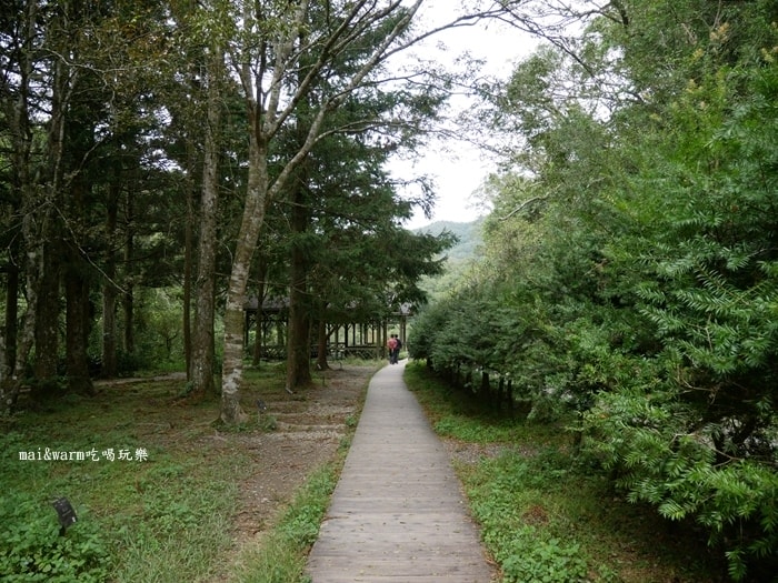 P1030131.jpg