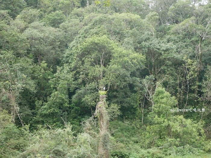 P1030138.jpg