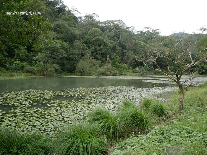 P1030135.jpg
