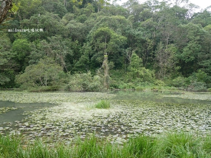 P1030139.jpg