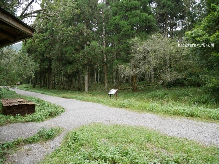 P1030142.jpg
