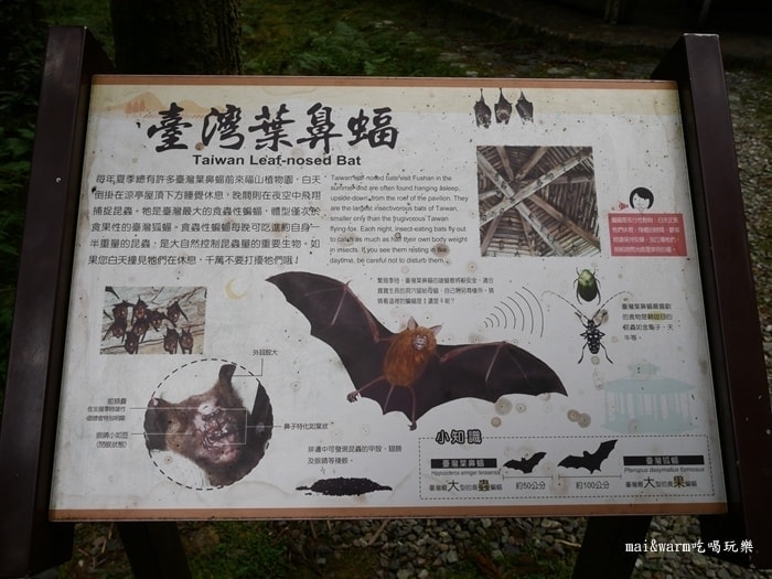 P1030154.jpg