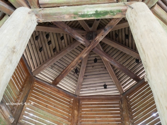 P1030155.jpg
