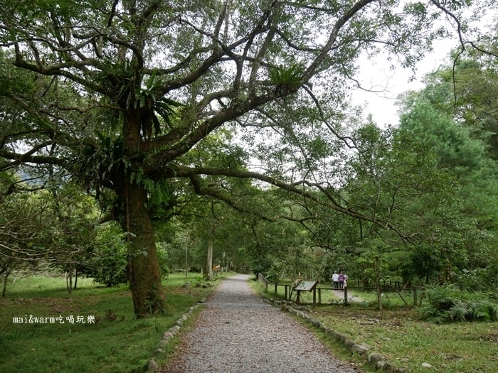 P1030158.jpg