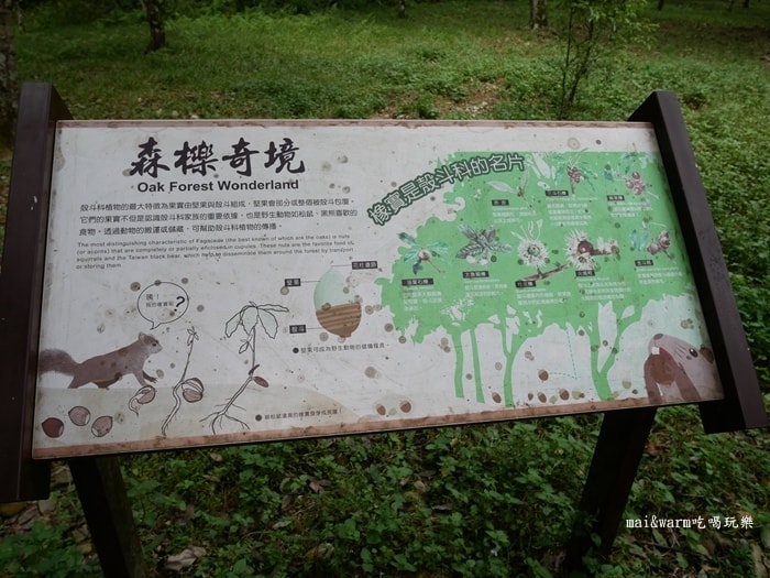 P1030162.jpg