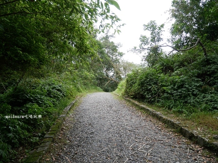 P1030176.jpg