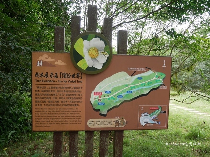 P1030179.jpg