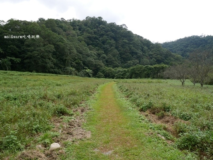 P1030211.jpg